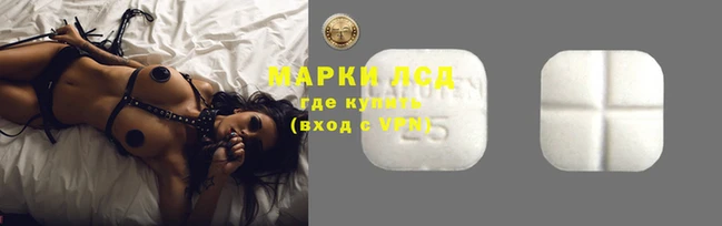 гашик Вязьма