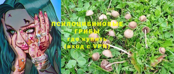 гашик Вязьма